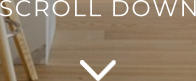 SCROLL DOWN